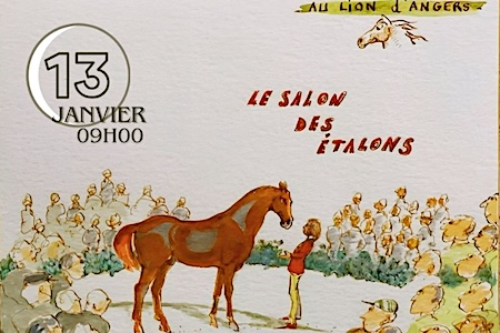 Fichier:Tête d'un cheval de Mérens portant un licol rose et noir - Bouan  2023.jpg — Wikipédia